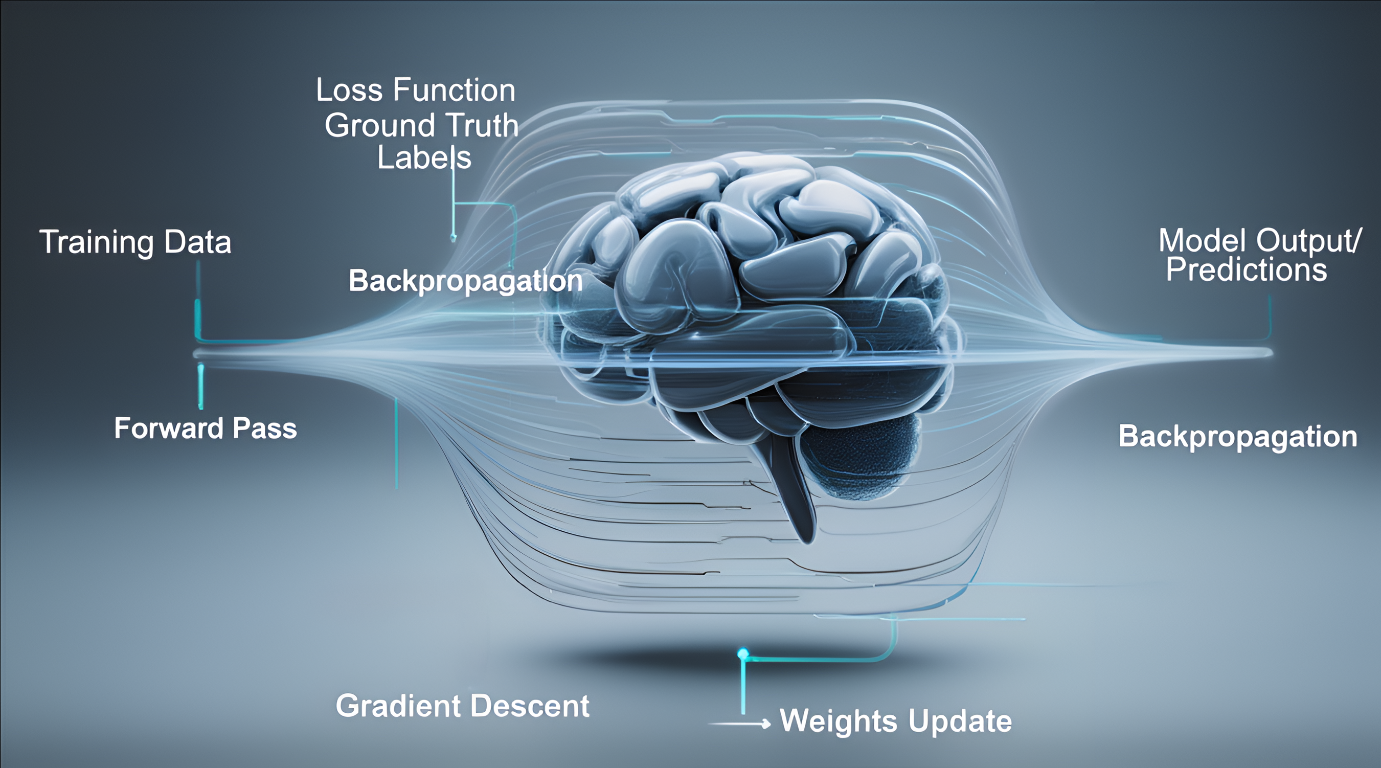 What Training a Model  Actually  Means 